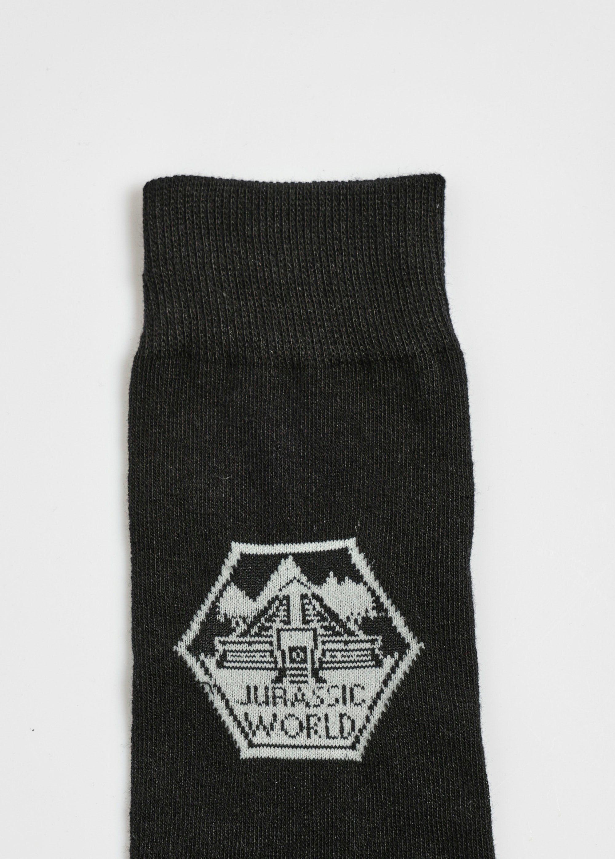 Pair_of_socks,_Jurassic_World_Black_DE2_slim