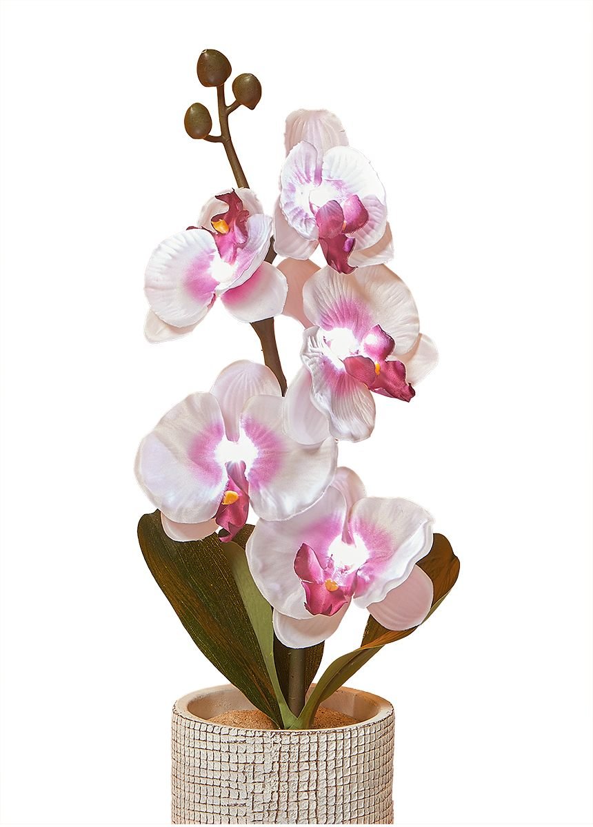 Bright_orchid_branch_5_flowers_Luminous_branch_FA1_slim