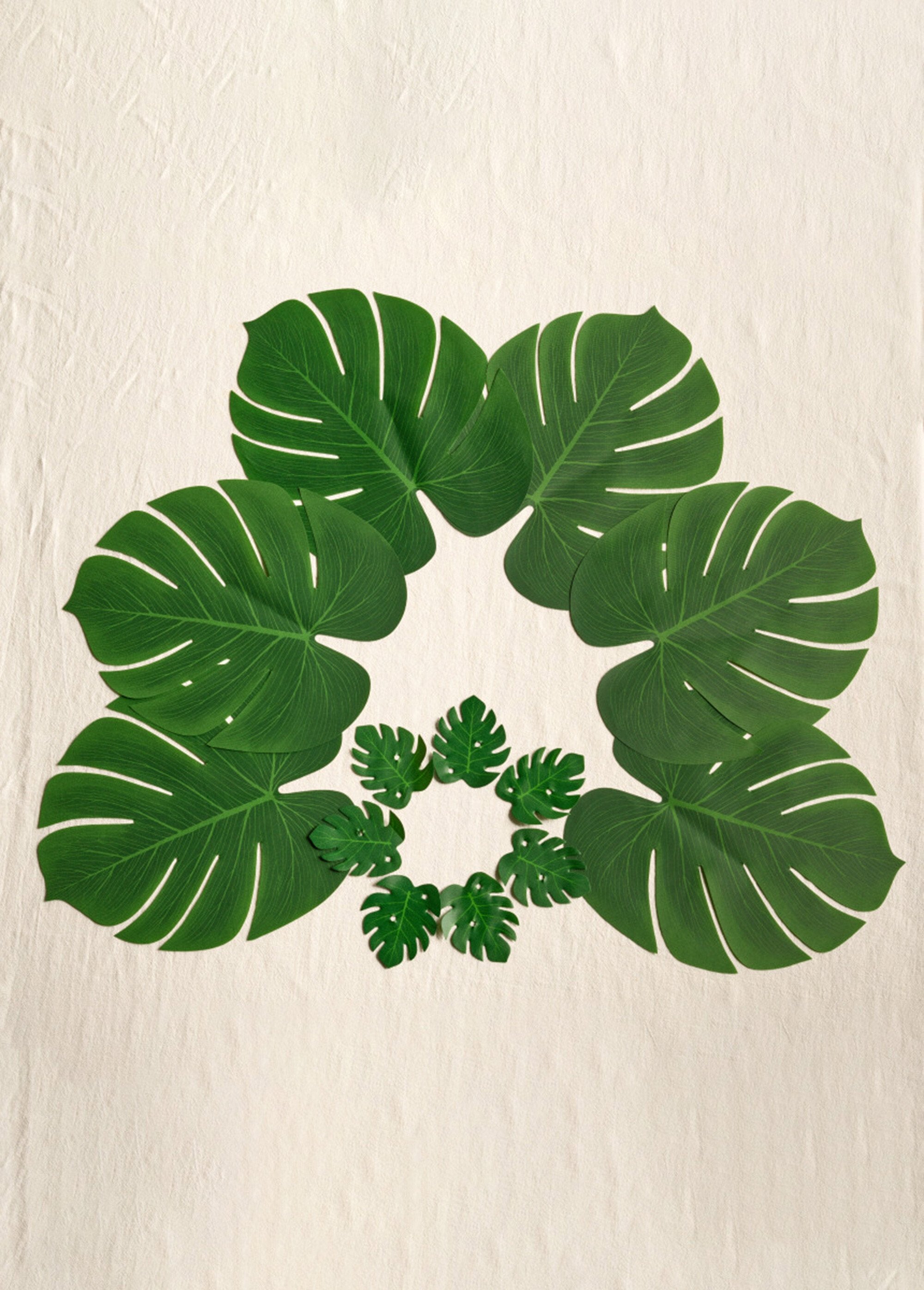 Set_of_12_decorative_tropical_leaves_Green_lot_12_FA1_slim