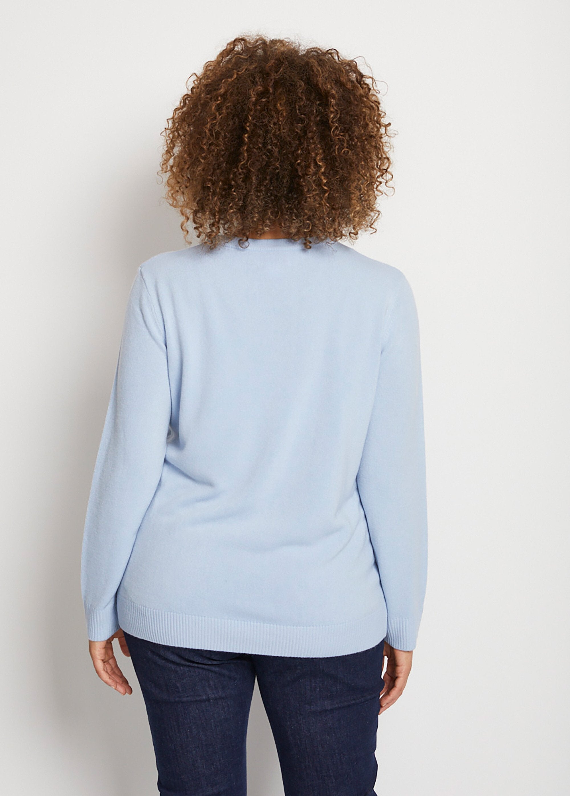 Soft_round_neck_long_sleeve_sweater_Sky_DO1_curvy