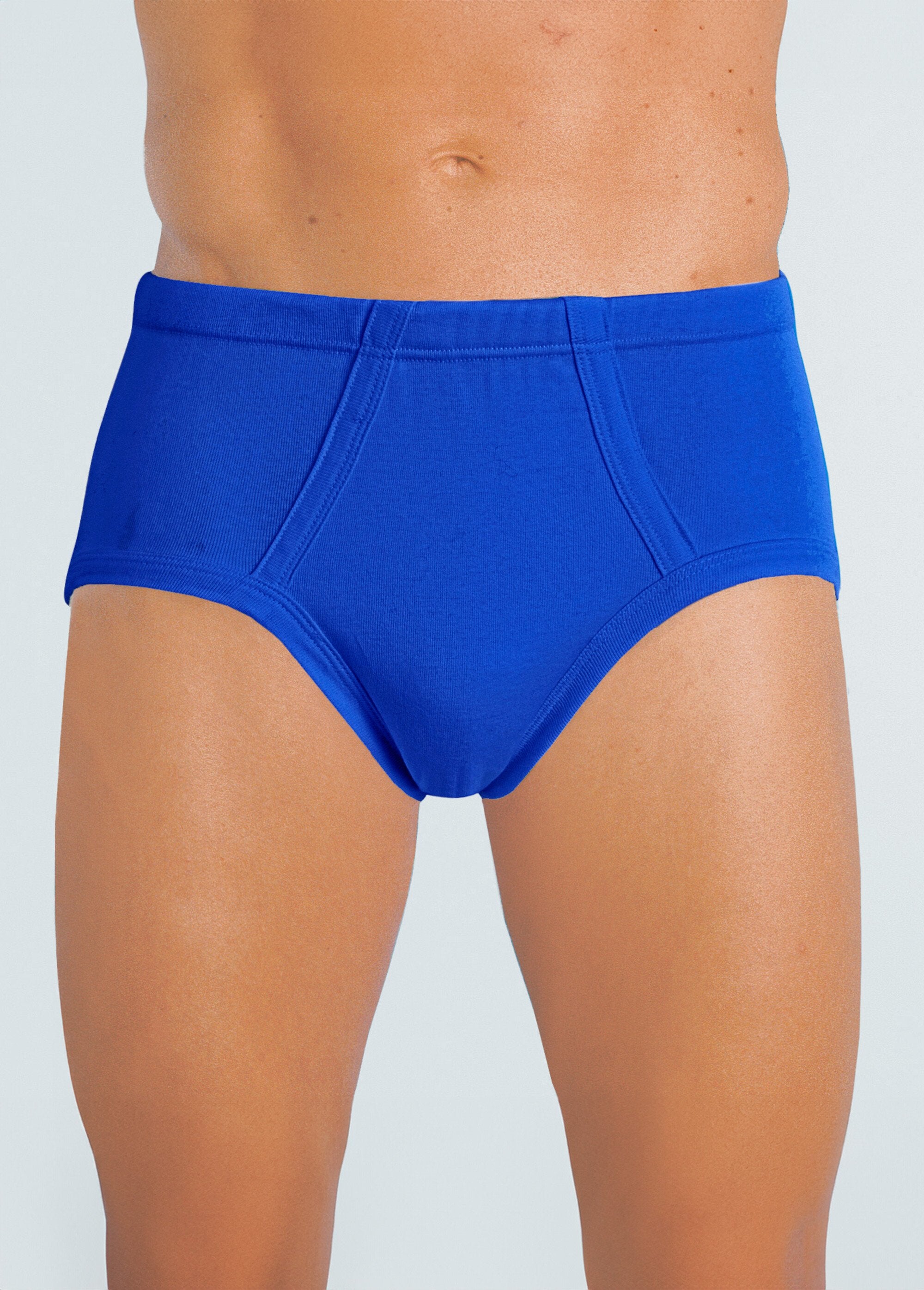 Closed_cotton_briefs_-_set_of_2_Indigo_lot_3_FA1_slim